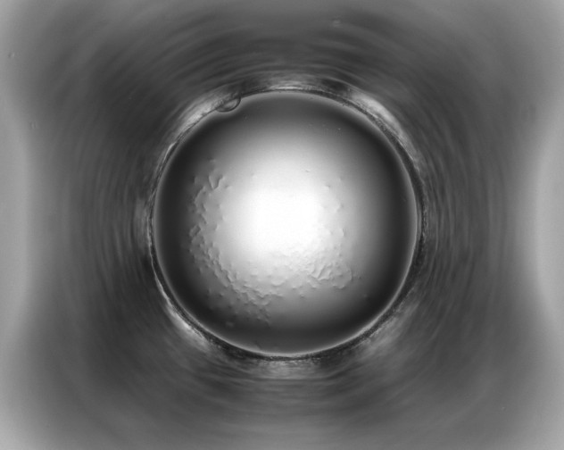 X0000087061433200704181249