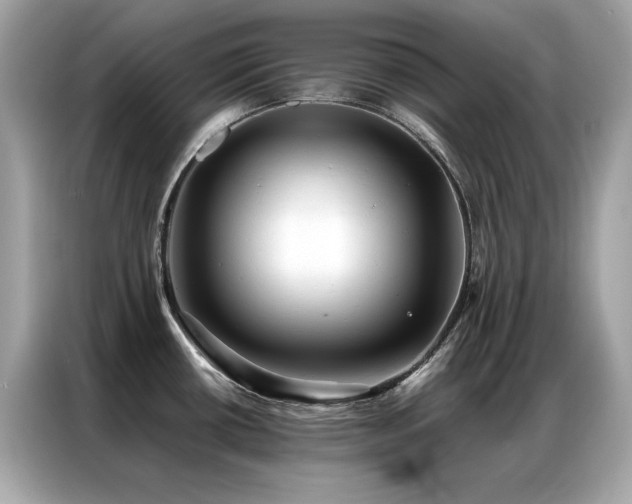 X0000087061434200704181249