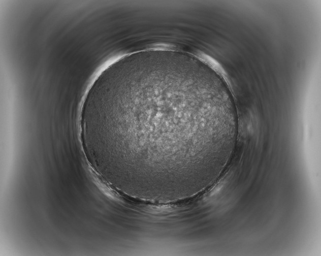 X0000087061435200704181249