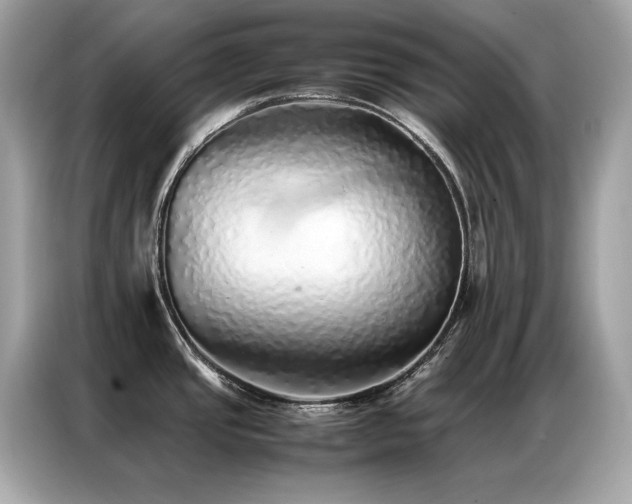 X0000087061437200704181249