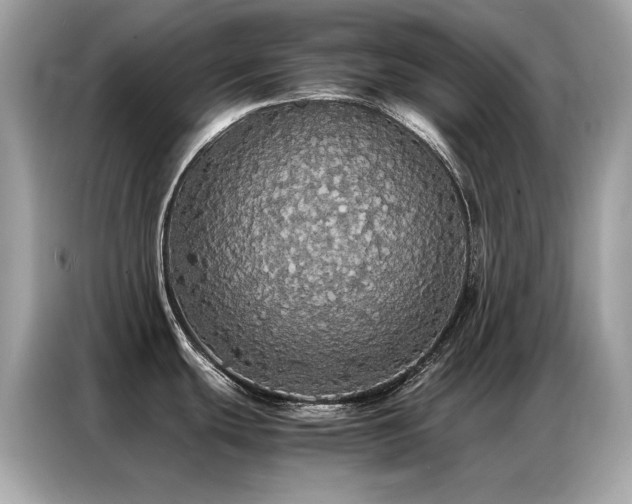 X0000087061439200704181249