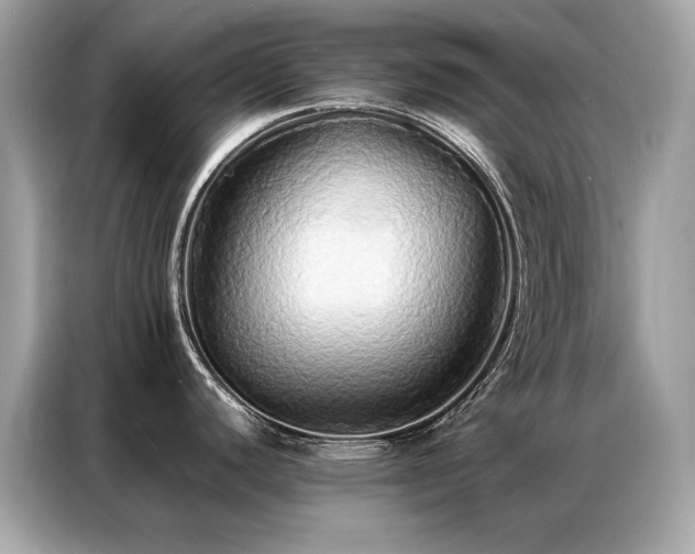 X0000087061440200704181249