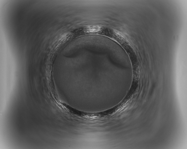 X0000087061441200704181248