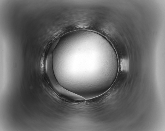 X0000087061444200704181248