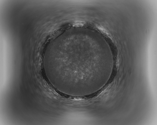 X0000087061445200704181248