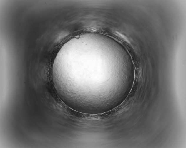 X0000087061446200704181248