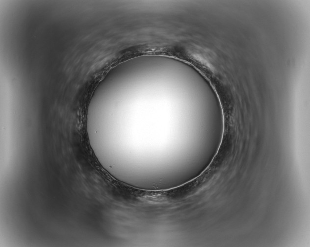 X0000087061447200704181248