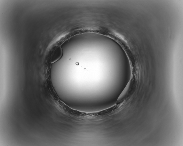 X0000087061448200704181248