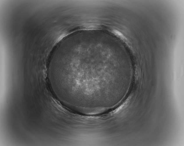 X0000087061449200704181248