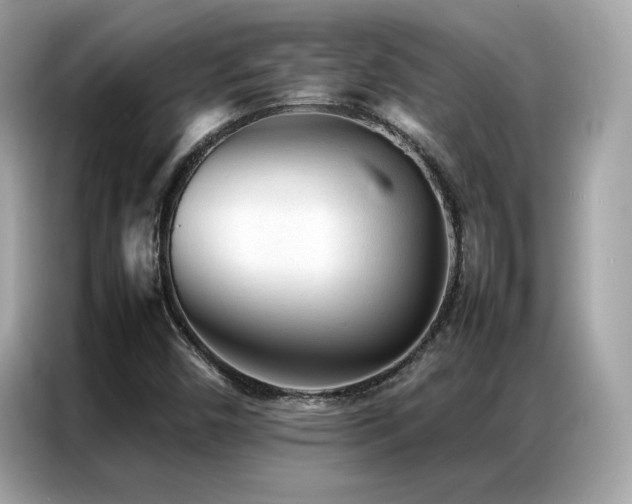 X0000087061450200704181248