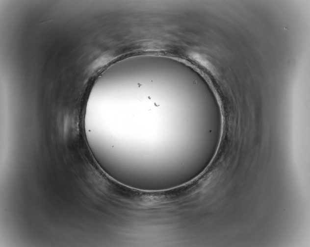 X0000087061451200704181248