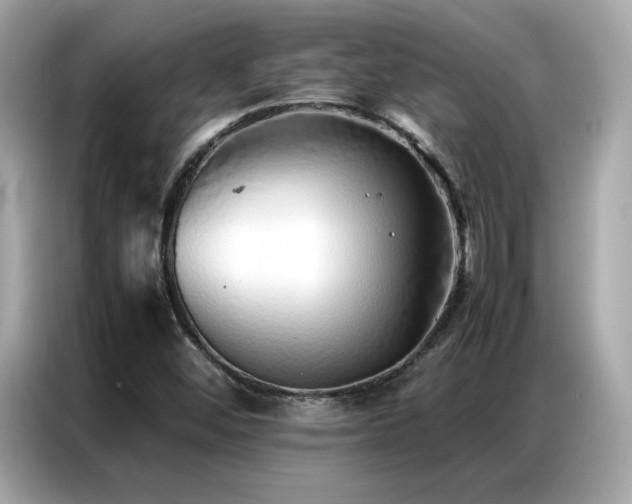 X0000087061452200704181248