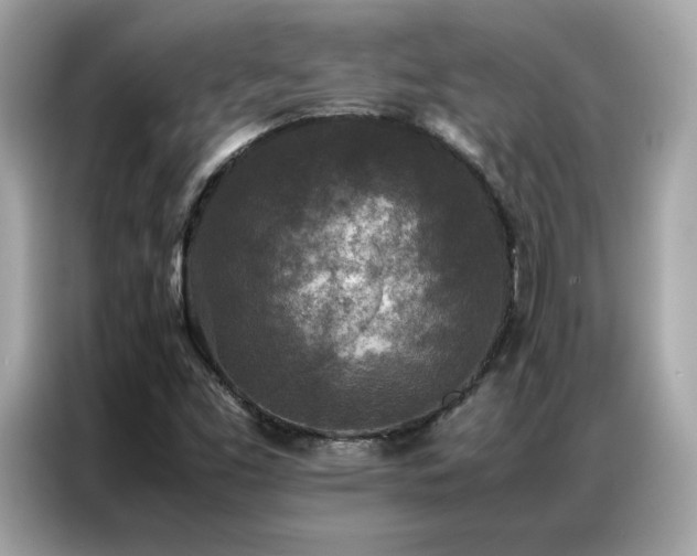 X0000087061453200704181248