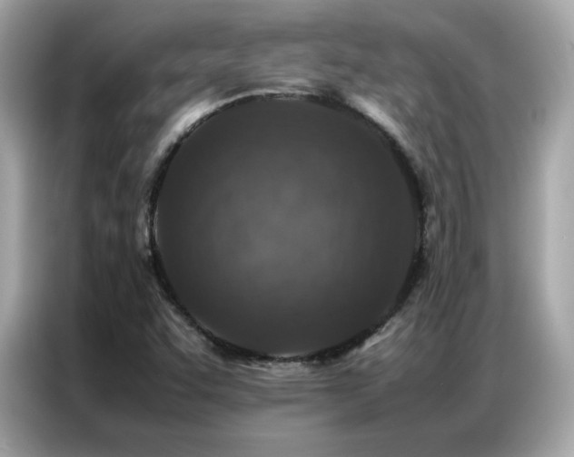 X0000087061455200704181248