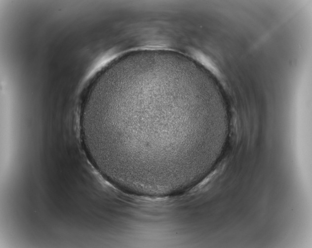 X0000087061456200704181248