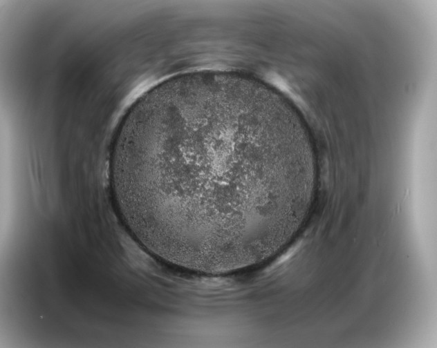 X0000087061459200704181248