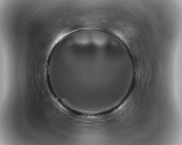 X0000087061463200704181248