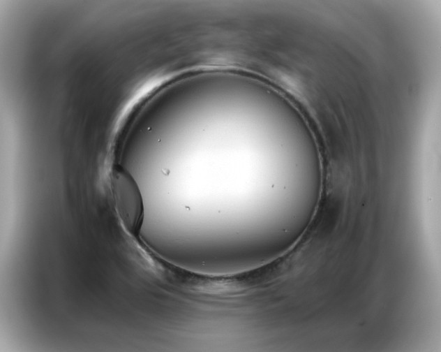 X0000087061464200704181248