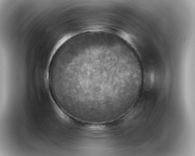 X0000087061466200704181248