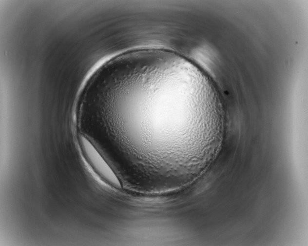 X0000087061468200704181248