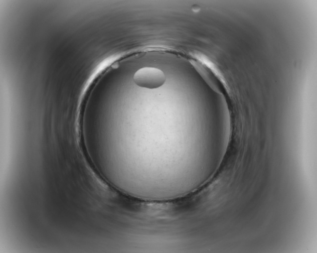 X0000087061469200704181248
