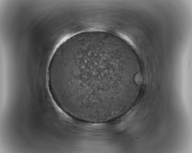 X0000087061471200704181248