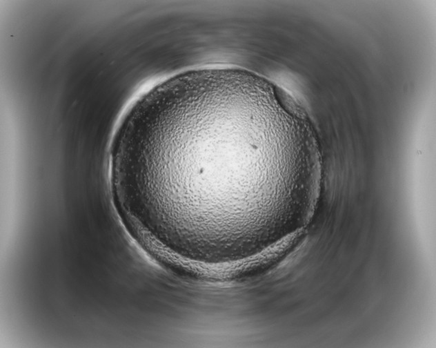 X0000087061472200704181248