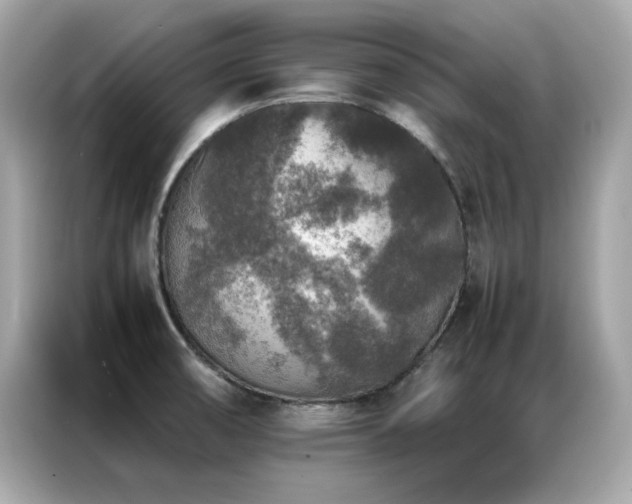X0000087061474200704181248