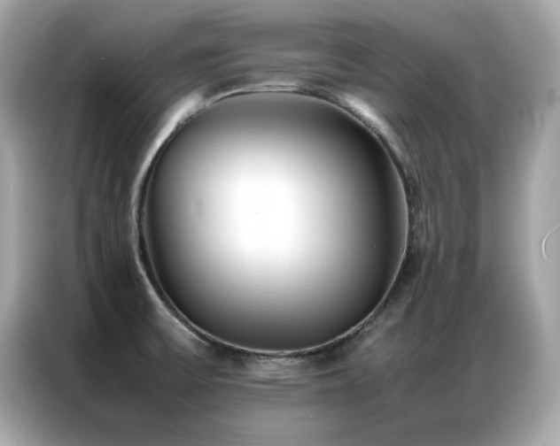 X0000087061475200704181248