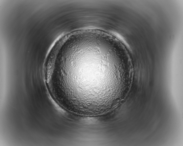 X0000087061476200704181248