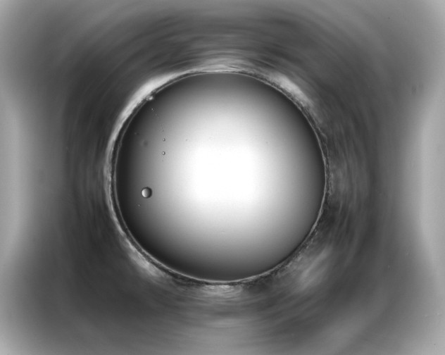 X0000087061478200704181248