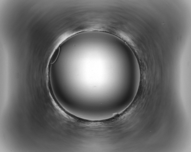 X0000087061479200704181248