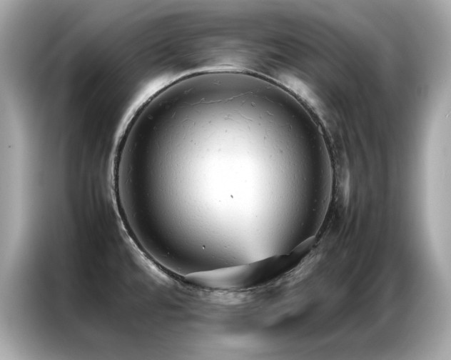 X0000087061480200704181248