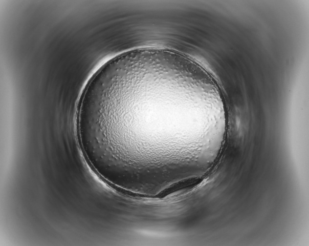 X0000087061484200704181248