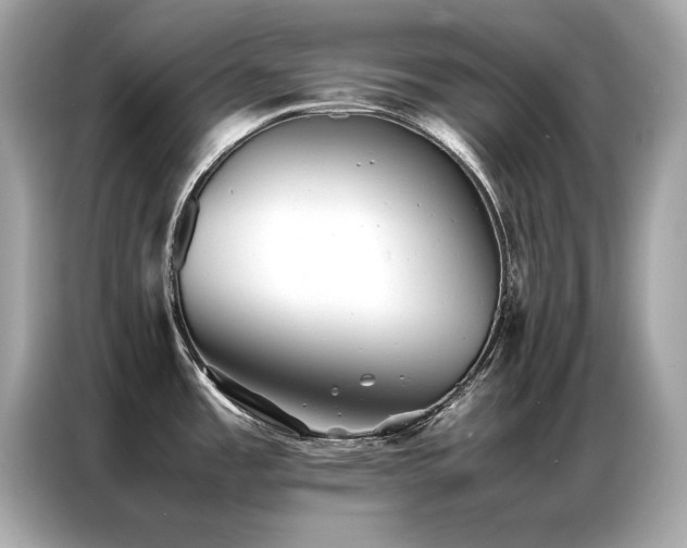 X0000087061485200704181248