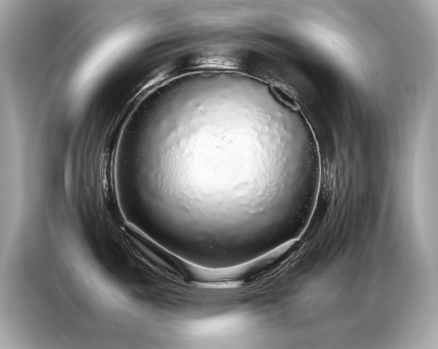 X0000087061487200704181248