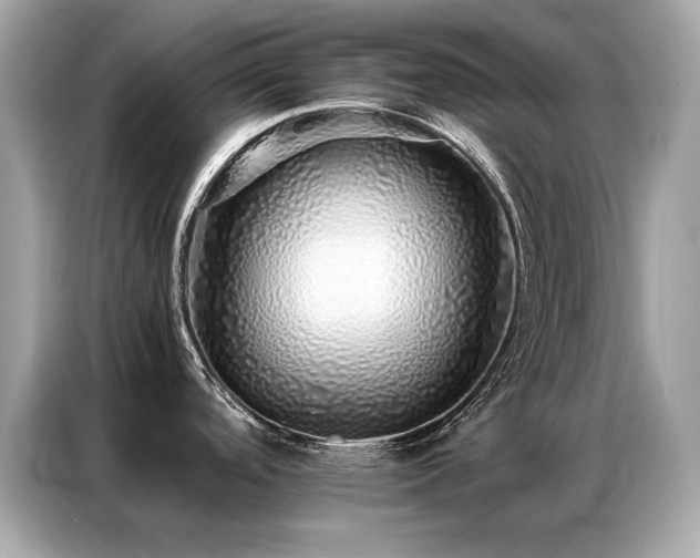 X0000087061488200704181248