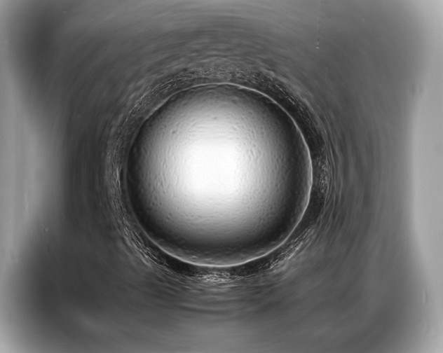 X0000087061489200704181247