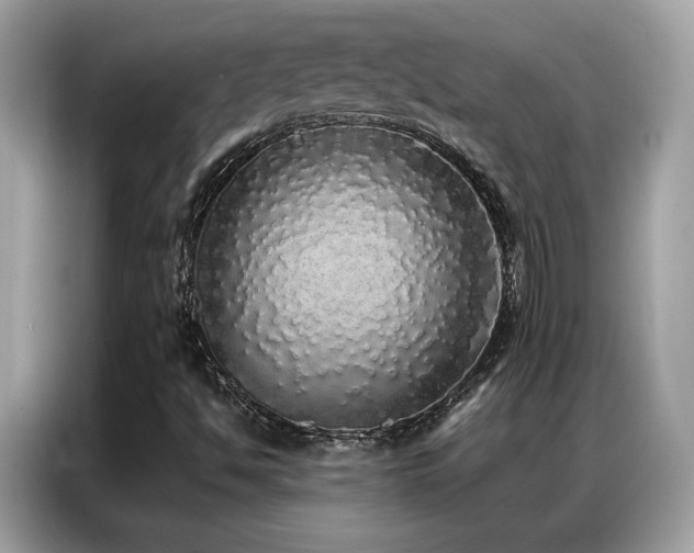 X0000087061494200704181247