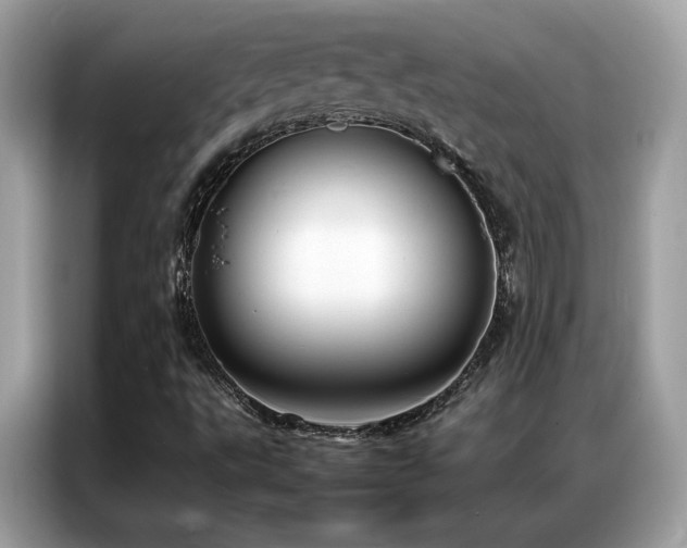 X0000087061495200704181247