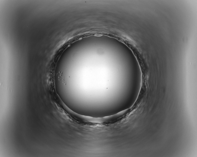 X0000087061496200704181247