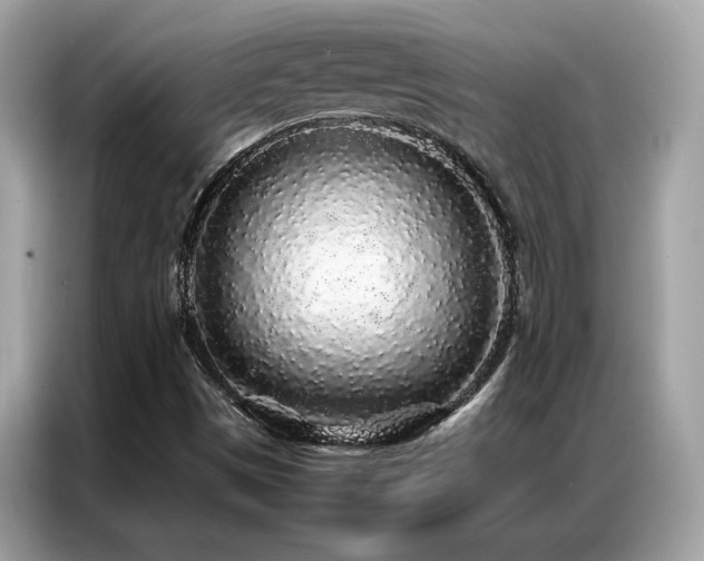 X0000087061497200704181247