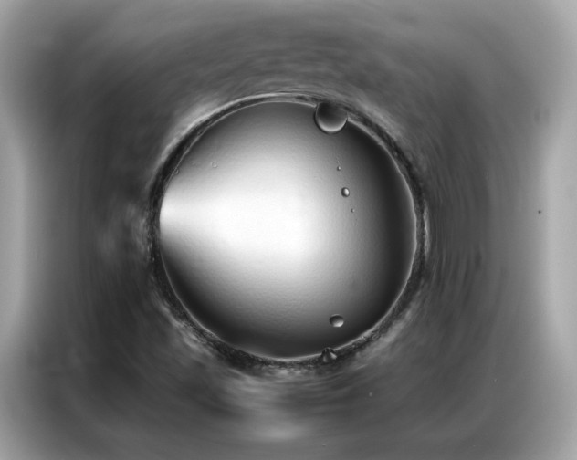 X0000087061501200704181247