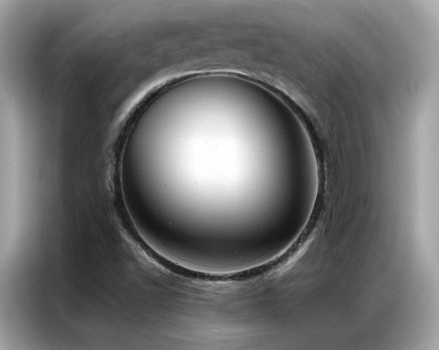 X0000087061502200704181247