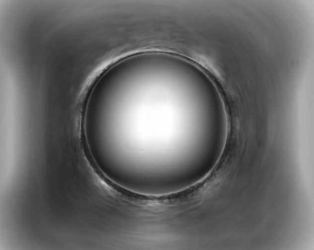 X0000087061504200704181247