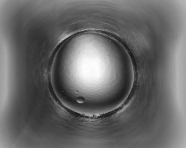 X0000087061505200704181247