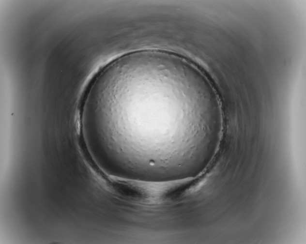 X0000087061509200704181247