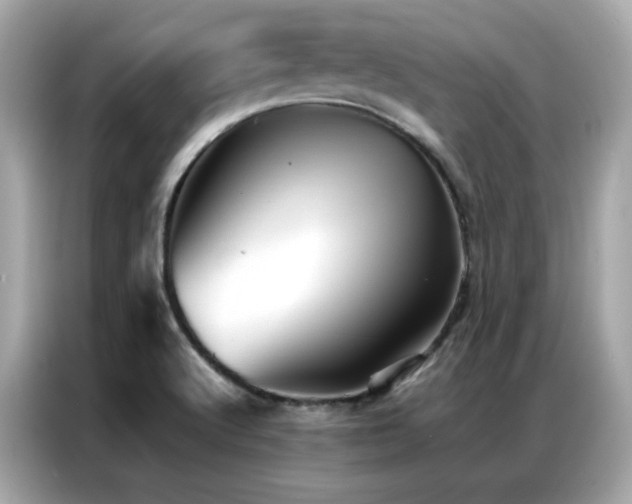 X0000087061512200704181247