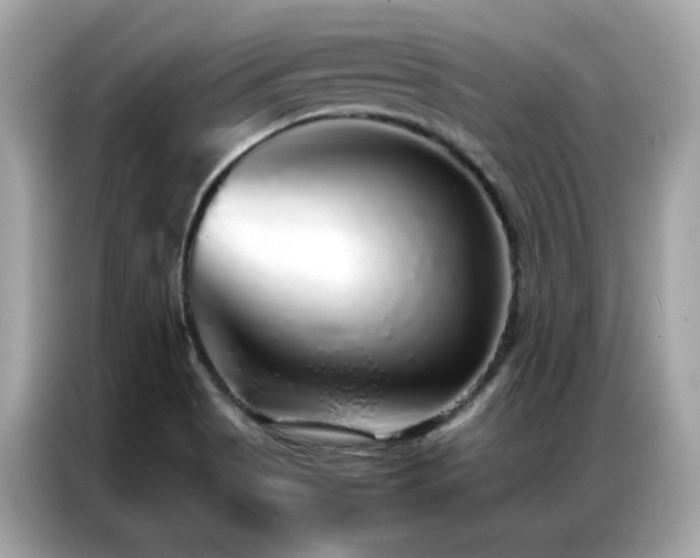 X0000087061513200704181247