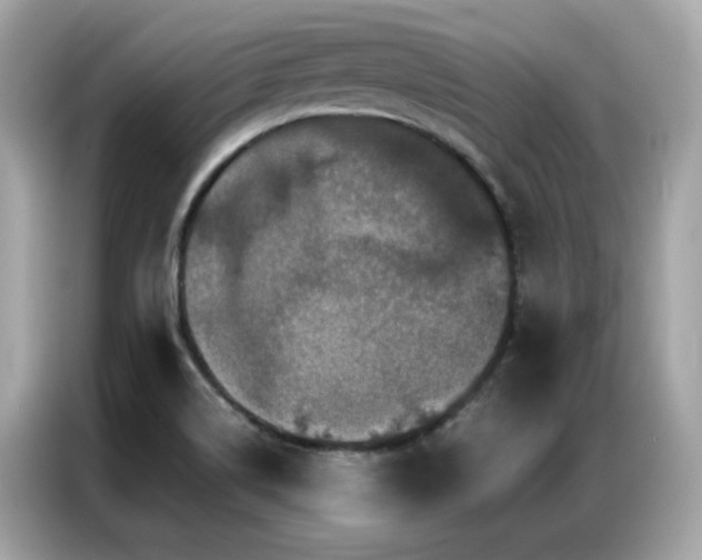 X0000087061514200704181247